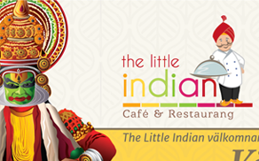 The Little Indian